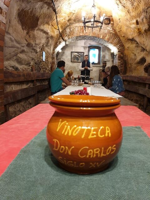 Aranda de Duero: Wine Tasting Course with Iberian Tasting - Who This Tour Is Best For