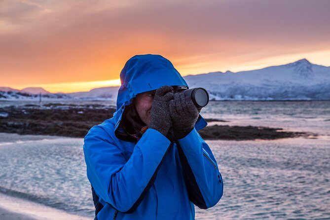 Arctic Nature Tour from Tromsø by minibus - Why This Tour Offers Great Value