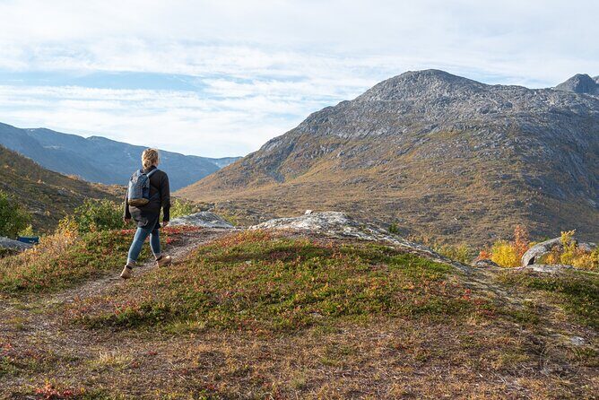 Arctic Roadtrip: fjords with scenic picnic | Sightseeing - FAQs