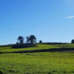 Arista Tour - Penacova Windmills and Landscapes (noon) - Final Thoughts