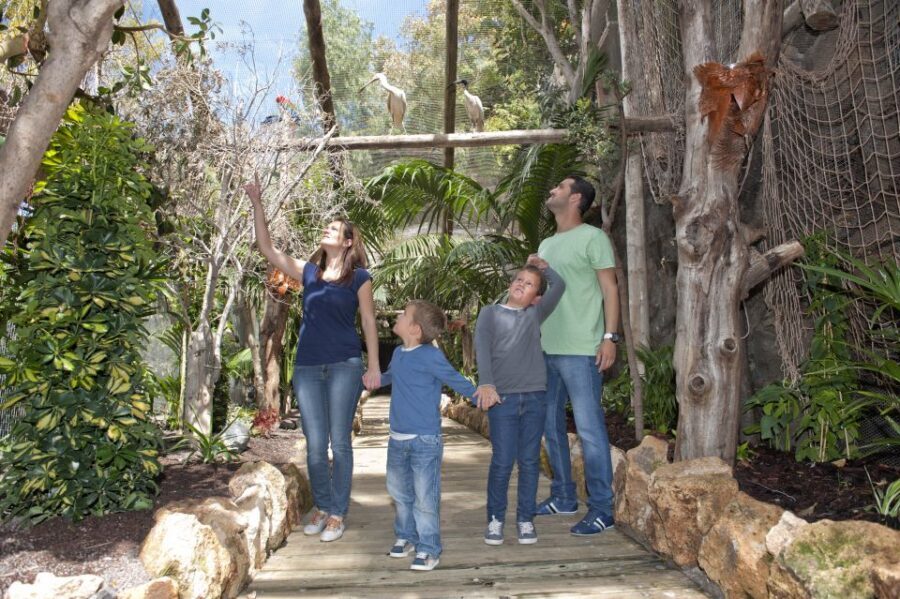 Arona: Entry Ticket to Tenerife's Jungle Park Zoo - Who Should Visit Jungle Park?