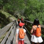 Arouca: Guided Tour Paiva Walkways + 516 Suspension Bridge - Why This Tour Offers Great Value