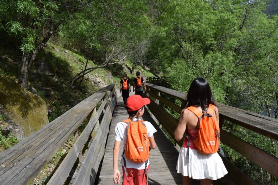 Arouca: Guided Tour Paiva Walkways + 516 Suspension Bridge - Why This Tour Offers Great Value