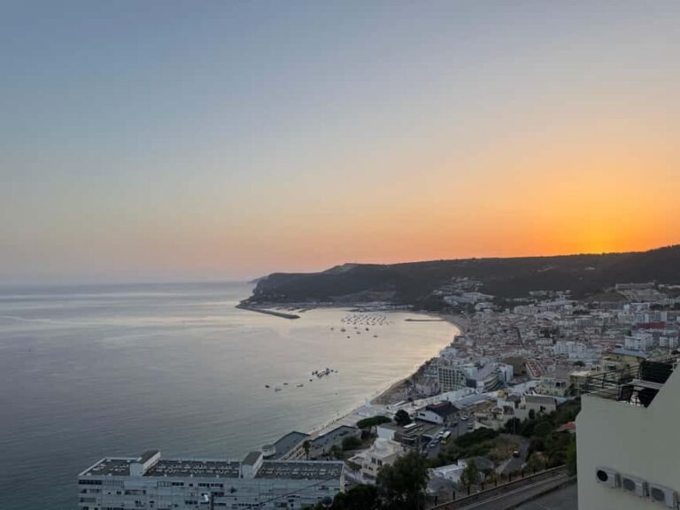 Arrábida - Fantastic dolphin tour - Why This Tour Offers Great Value