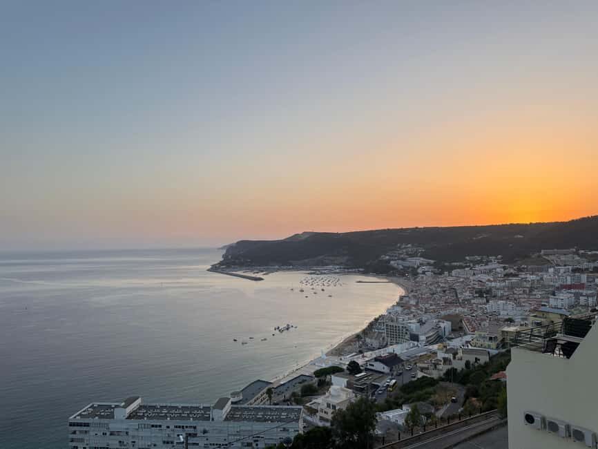 Arrábida - Fantastic dolphin tour - Why This Tour Offers Great Value