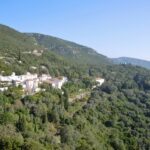 Arrabida Natural Park Full-Day Private Tour from Lisbon - Deep Dive: Why This Tour Works for You