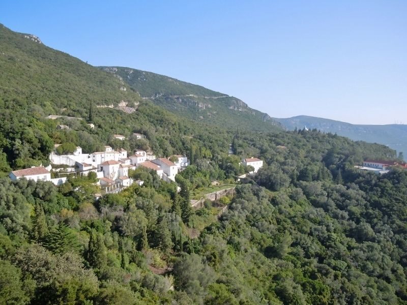 Arrabida Natural Park Full-Day Private Tour from Lisbon - Deep Dive: Why This Tour Works for You