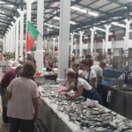 Arrábida Natural Park Private Tour from Lisbon - FAQ