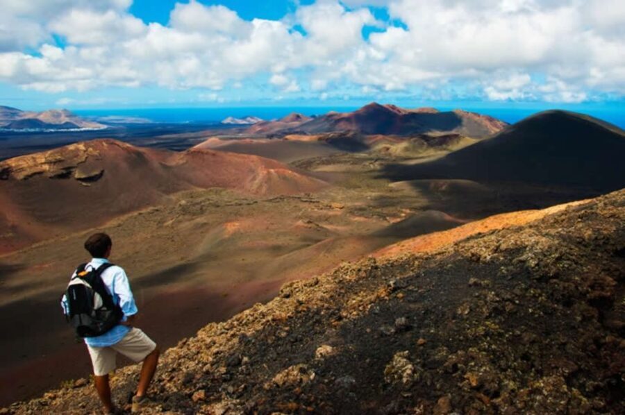 Arrecife/Playa Blanca: Timanfaya National Park Area Day Tour - Discovering Lanzarote’s Volcanic Marvels