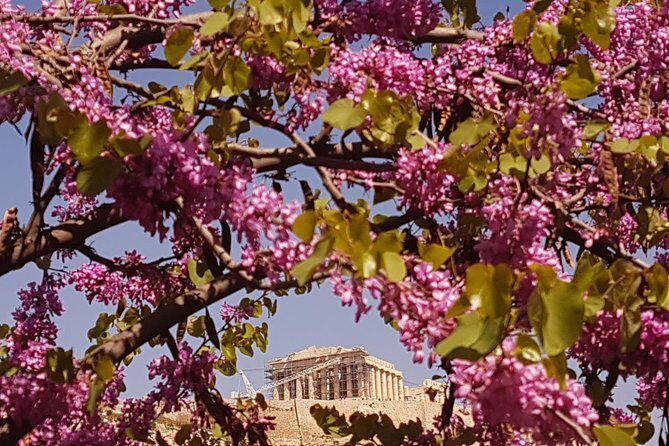 Athens Airport to Nafplio Private Transfer - Who Should Consider This Service?