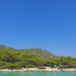 Athens Combo Ticket: Full-Day Cruise and Hop on Hop off Bus - Who Will Love This Tour?