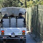 Athens: Private Evening Sightseeing Tour by Electric Tuk-Tuk - Why a Private Electric Tuk-Tuk Tour in Athens is a Great Choice
