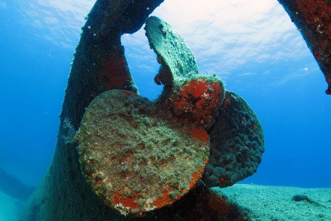 Athens Scuba Diving Experience for Certified Divers with pick up - Why This Tour Offers Excellent Value