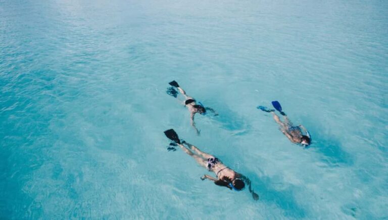 Athens: Snorkeling Riviera Adventure - Who Should Consider This Tour?