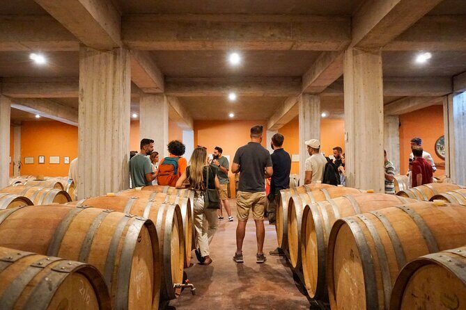 Athens to Nemea Wine Experience Tour - Final Thoughts