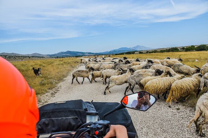 ATV Dinara Mountain tour with picnic - Key Points
