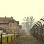Auschwitz-Birkenau guided tour from Krakow with Ticket & Transfer - Who Should Consider This Tour?