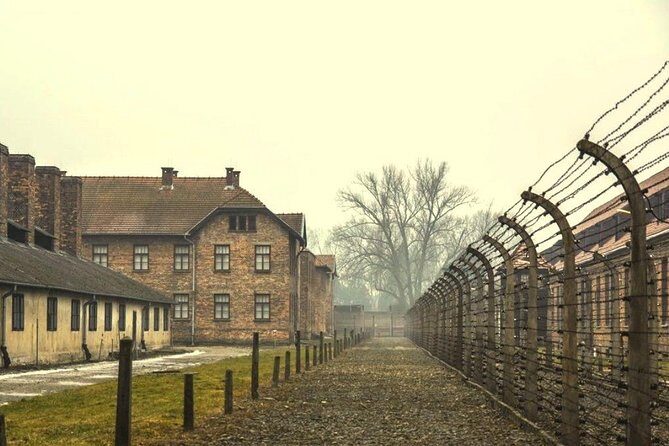 Auschwitz-Birkenau guided tour from Krakow with Ticket & Transfer - Who Should Consider This Tour?
