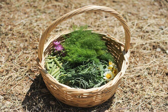 Authentic Greek Cooking & Foraging Experience in Syros with Maria - FAQ