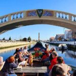 Aveiro and Costa Nova: Private Tour with Moliceiro Cruise Half Day - Considerations for Travelers