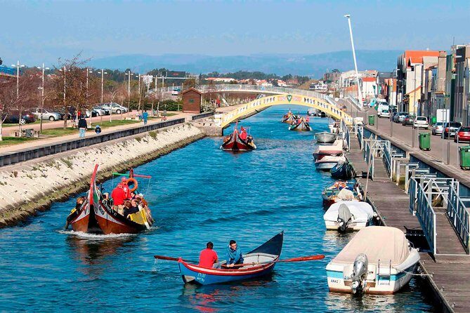 Aveiro Canal Cruise in Traditional Moliceiro Boat - Practical Details and Tips