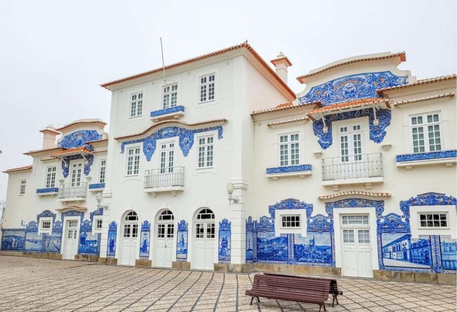 Aveiro City Tour: Private day trip with tickets included. - The Experience: What’s Included and What to Expect
