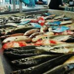Aveiro, Costa Nova beach and Moliceiro Boat, half-day from Coimbra - Who Will Love This Tour?