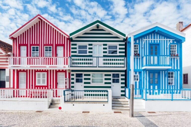 Aveiro Private Tour with cruise - Discovering Aveiro: A City of Canals and Color
