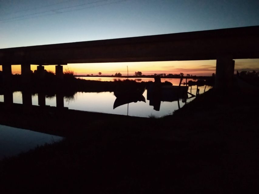Aveiro: Walking Tour, Boat Cruise, Sweets & Church Entrance - Who Should Consider This Tour?