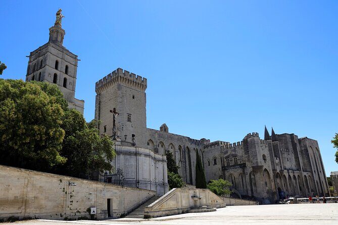 Avignon's history, local culture & the wines of Châteauneuf du Pape private tour - The Vineyards of Châteauneuf du Pape