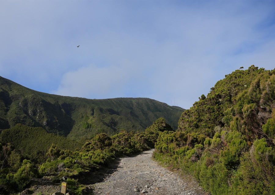 Azores: São Miguel and Lagoa do Fogo Hiking Trip - The Trail and Its Highlights