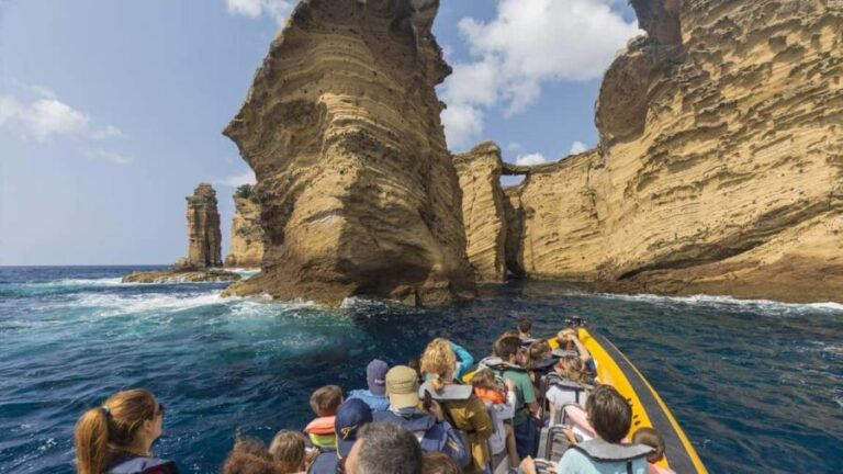 Azores: Whale Watching & Islet Boat Tour w/ Marine Biologist - What to Expect on the Tour