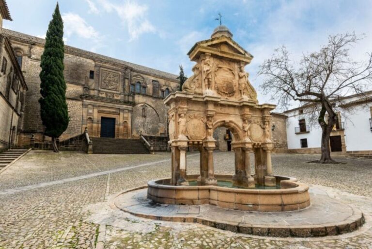 Baeza: Baeza Cathedral Entry Ticket - Who Should Consider This Tour?