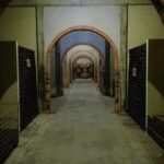 Bairrada Winery Route, half day from Coimbra - Who Will Love This Experience?