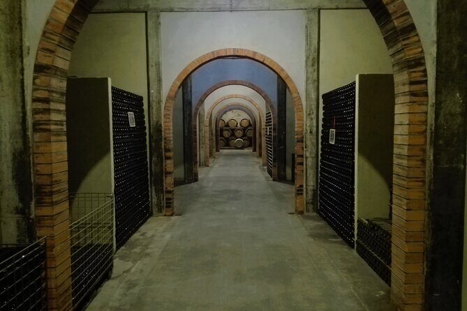 Bairrada Winery Route, half day from Coimbra - Who Will Love This Experience?