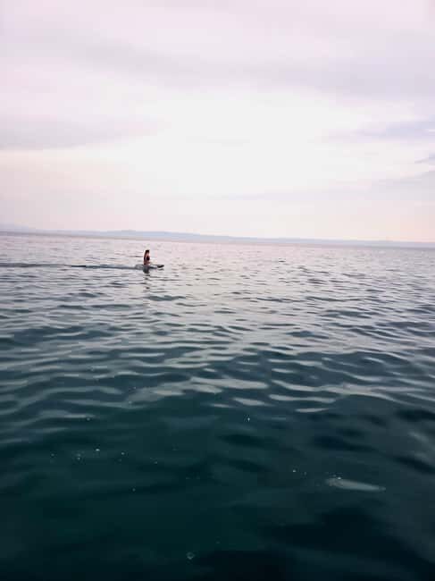 Baka Voda: Electric Surfboard Rental with Instructor - What Makes the Electric Surfboard Stand Out?