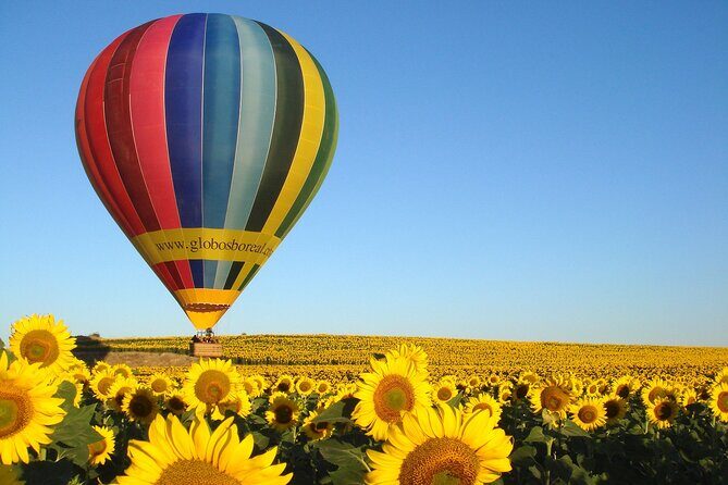 Balloon Ride Over Segovia or Toledo with Optional Transport from Madrid - Who Should Consider This Tour?