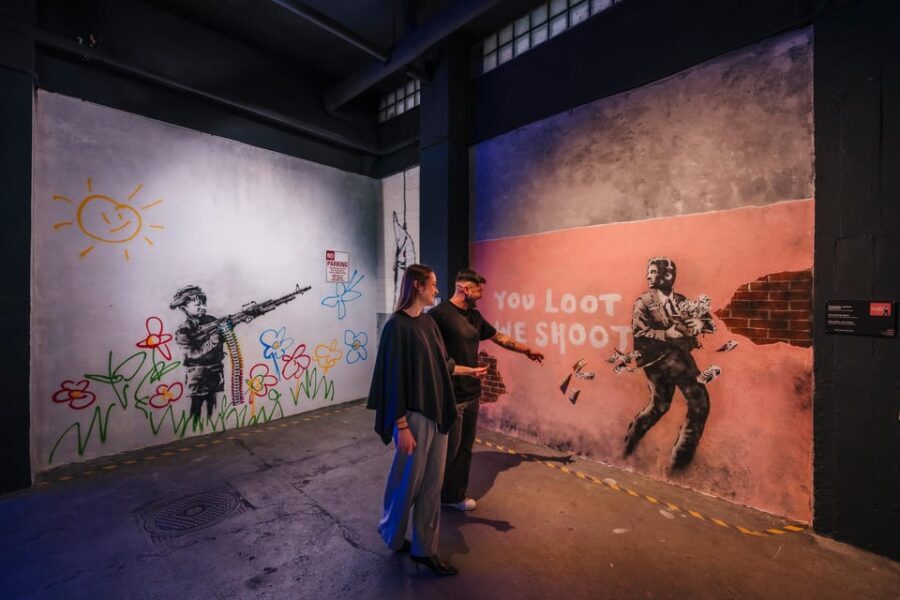 Banksy Museum Madrid: Entrance Ticket - A Closer Look at the Experience