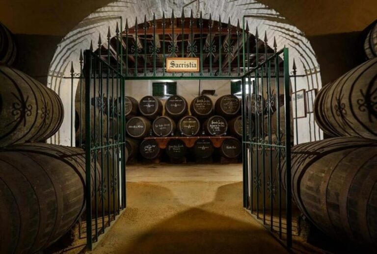 Barbadillo Winery Guided Tour in Cadiz with Wine Tasting - A Closer Look at the Barbadillo Winery Tour