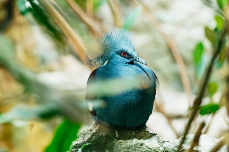 Barcelona: 1-Day Ticket to Barcelona Zoo - An In-Depth Look at Barcelona Zoo