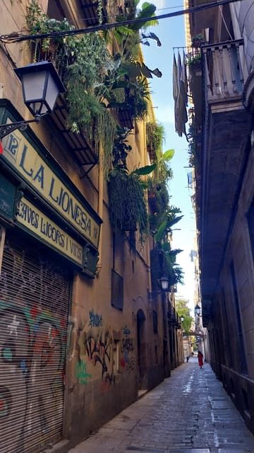 Barcelona 101 Walking Tour: All Highlights in One Day - Practical Aspects and What You’ll Get