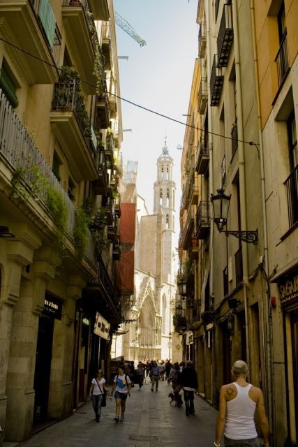 Barcelona: 4-hour Private Guided Walking Tour - Analyzing What You Can Expect from the Tour