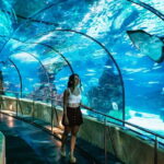 Barcelona Aquarium: Entry Ticket - Key Points