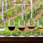 Barcelona: Besalú, Figueres, and Girona Day Trip with Lunch - Why This Tour Is Worth Considering