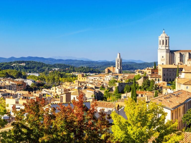Barcelona: Carcassonne & Girona Tour - Detailed Review of the Barcelona: Carcassonne & Girona Tour