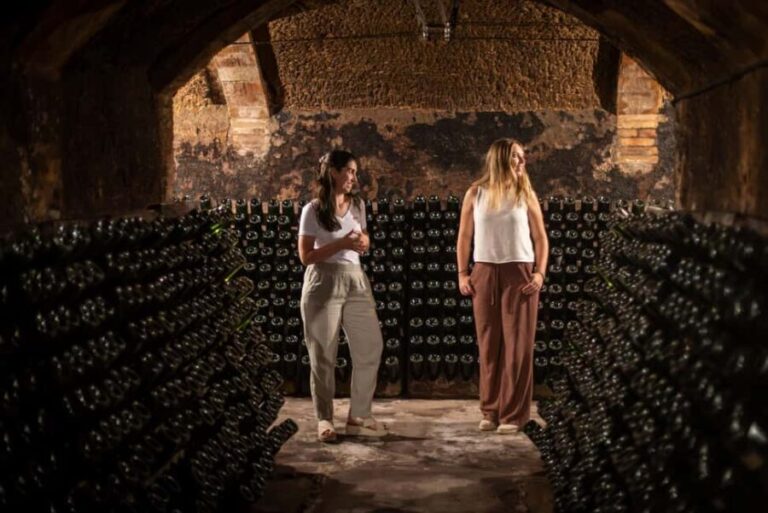 Barcelona: Cavas Hill - Winery Tour & Cheese Tasting - Exploring Cavas Hill: More Than Just a Tasting