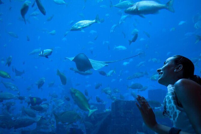 Barcelona City Tour Hop-On Hop-Off and Aquarium - The Aquarium: A Marine Wonderland on Your Schedule
