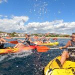 Barcelona: Costa Brava Kayaking & Snorkeling Tour with Lunch - Who Is This Tour Best For?