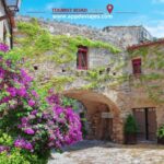 Barcelona: Dalí, Portlligat House-Museum & Cadaqués - In-Depth Review of the Tour Experience