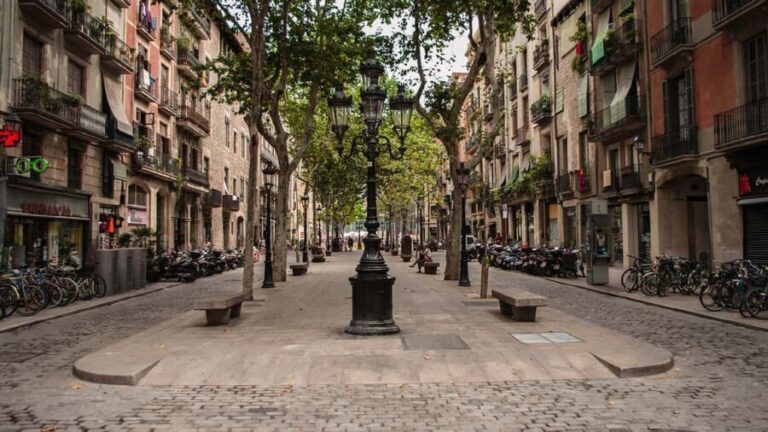 Barcelona: El Born Guided Walking Tour with Picasso Museum - Exploring the Tour: A Deep Dive into What to Expect